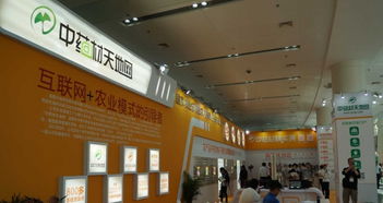 匠心筑展，茶韻飄香 福州展覽搭建工廠的一站式專業服務